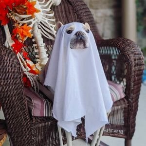 Happy Spooky Season Everyone! 👻🍂🍁🎃